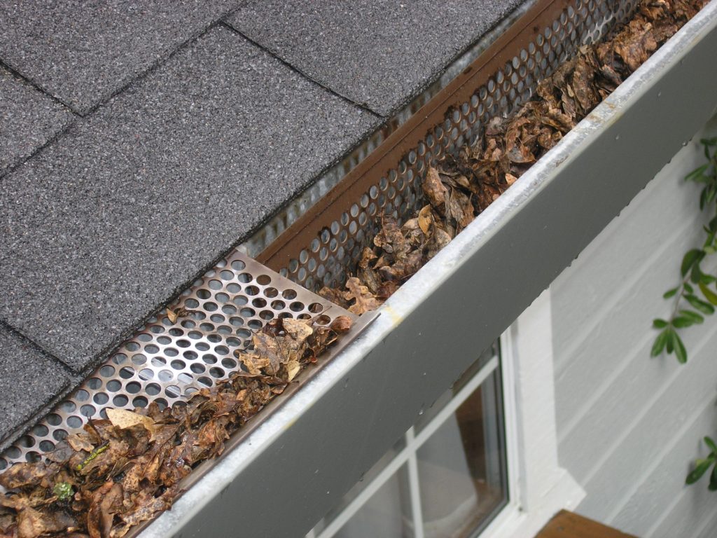 Home Maintenance - Gutter Cleaning & Repair