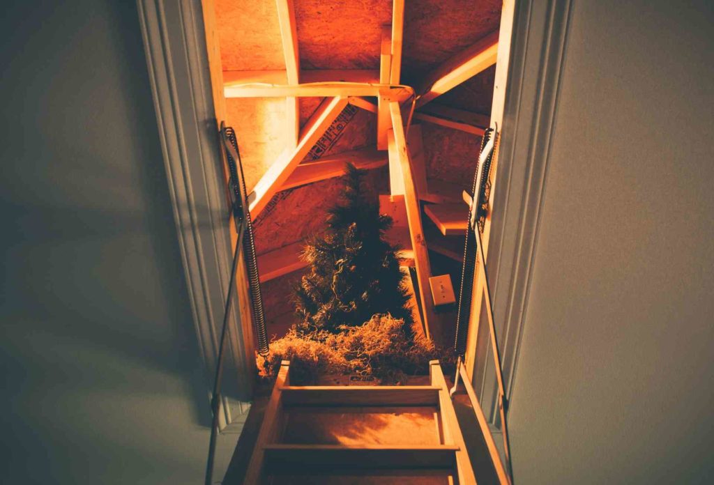 Attic room storage and ladder